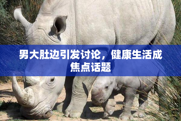 男大肚边引发讨论，健康生活成焦点话题