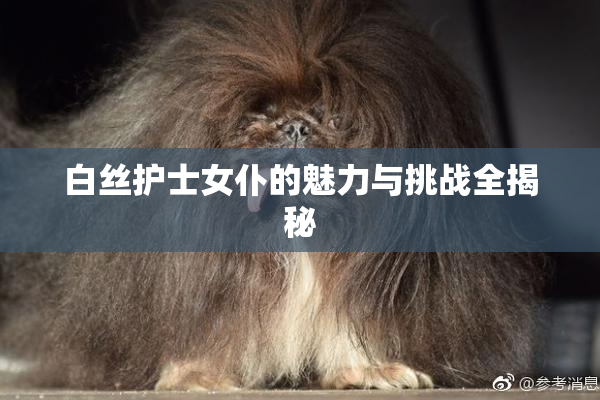 白丝护士女仆的魅力与挑战全揭秘