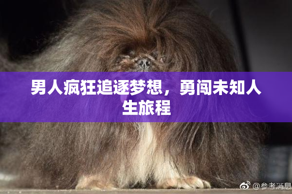 男人疯狂追逐梦想，勇闯未知人生旅程