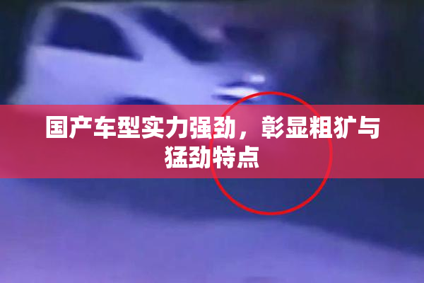 国产车型实力强劲，彰显粗犷与猛劲特点