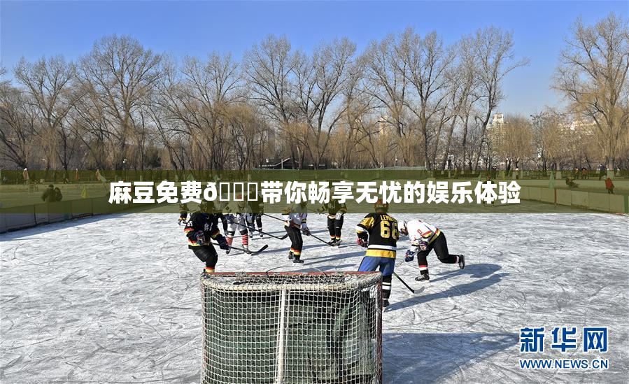 麻豆免费🔞带你畅享无忧的娱乐体验