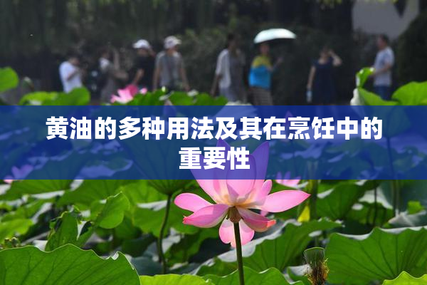 黄油的多种用法及其在烹饪中的重要性