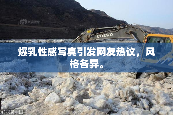 爆乳性感写真引发网友热议，风格各异。
