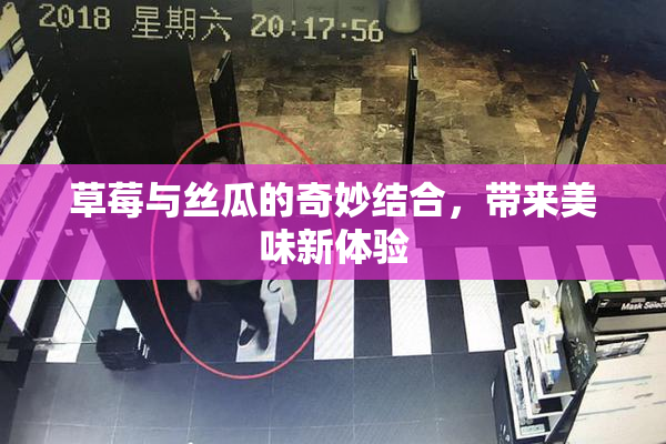 草莓与丝瓜的奇妙结合，带来美味新体验