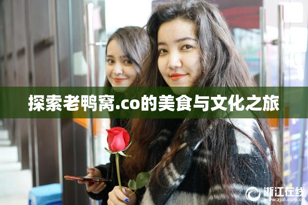 探索老鸭窝.co的美食与文化之旅