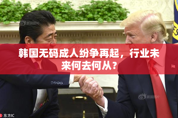 韩国无码成人纷争再起，行业未来何去何从？