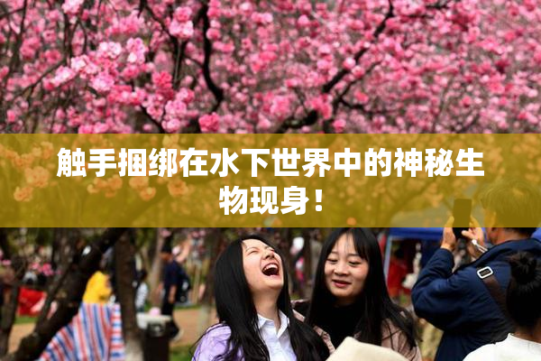 触手捆绑在水下世界中的神秘生物现身！