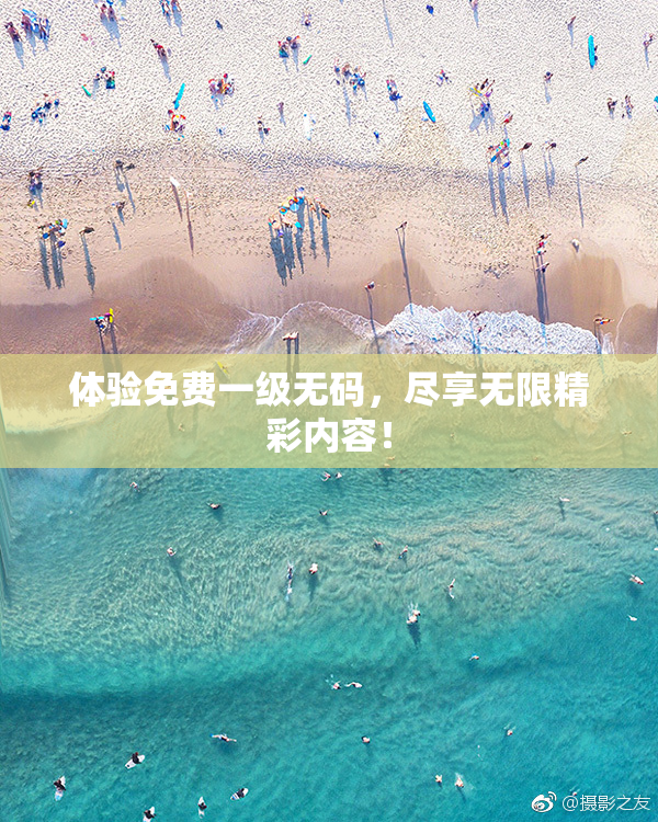 体验免费一级无码，尽享无限精彩内容！