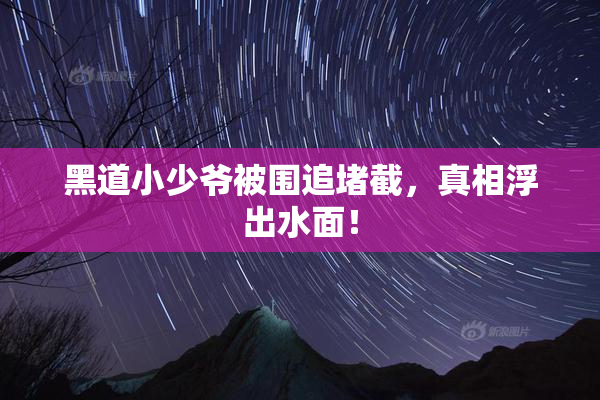 黑道小少爷被围追堵截，真相浮出水面！