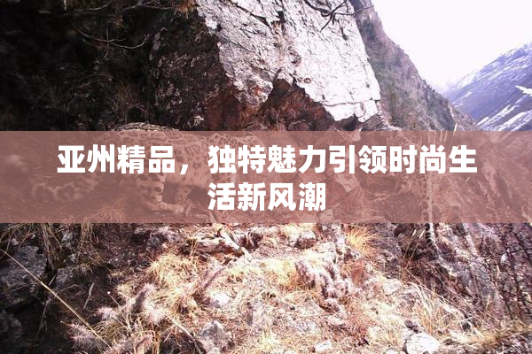 亚州精品，独特魅力引领时尚生活新风潮