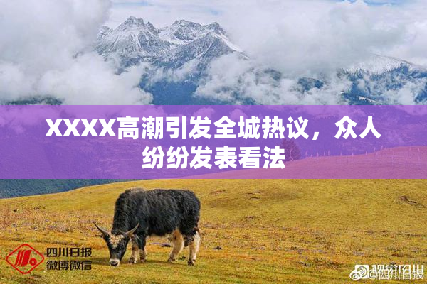 XXXX高潮引发全城热议，众人纷纷发表看法
