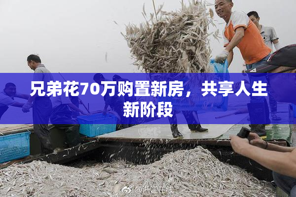 兄弟花70万购置新房，共享人生新阶段