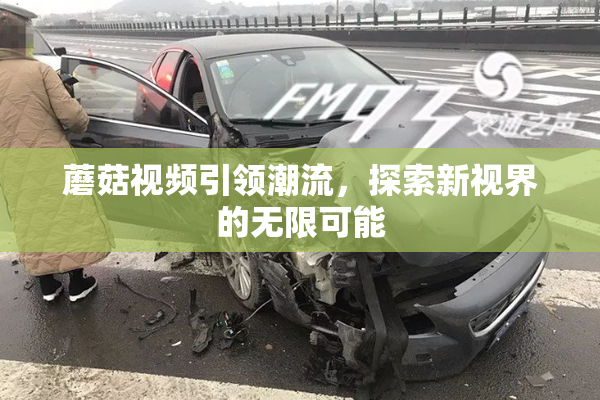 蘑菇视频引领潮流，探索新视界的无限可能