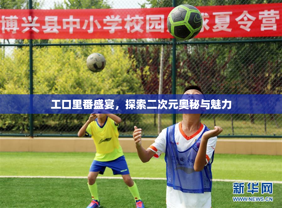 工口里番盛宴，探索二次元奥秘与魅力
