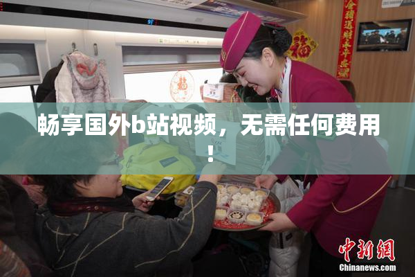 畅享国外b站视频，无需任何费用！