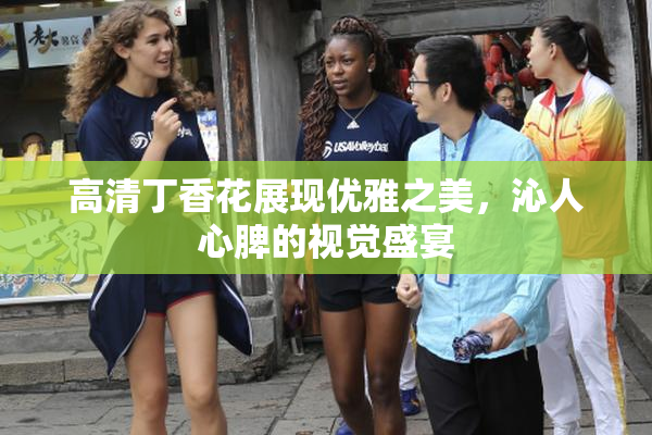 高清丁香花展现优雅之美，沁人心脾的视觉盛宴