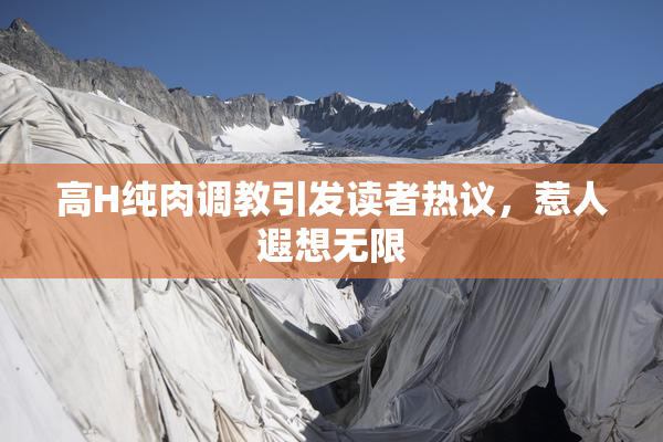 高H纯肉调教引发读者热议，惹人遐想无限