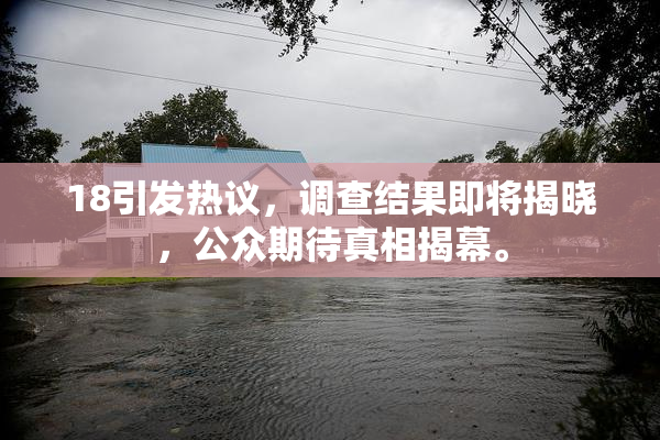 18引发热议，调查结果即将揭晓，公众期待真相揭幕。