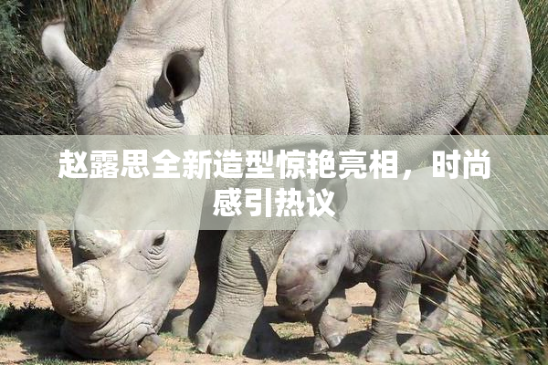 赵露思全新造型惊艳亮相，时尚感引热议