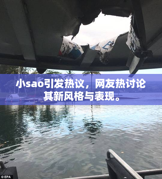 小sao引发热议，网友热讨论其新风格与表现。