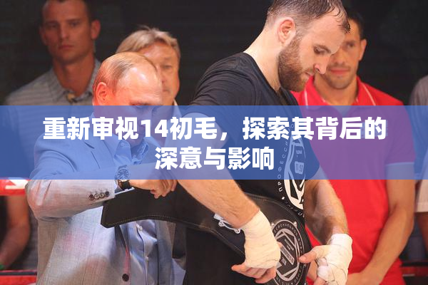 重新审视14初毛，探索其背后的深意与影响
