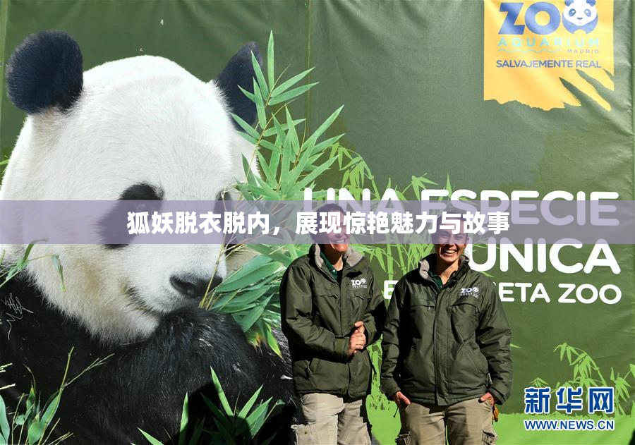 狐妖脱衣脱内，展现惊艳魅力与故事