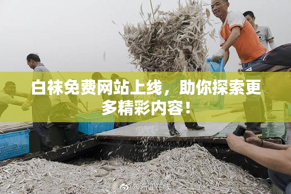 白袜免费网站上线，助你探索更多精彩内容！