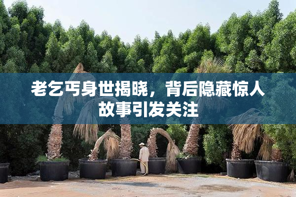 老乞丐身世揭晓，背后隐藏惊人故事引发关注