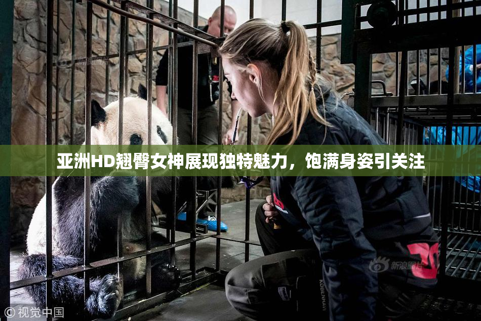 亚洲HD翘臀女神展现独特魅力，饱满身姿引关注