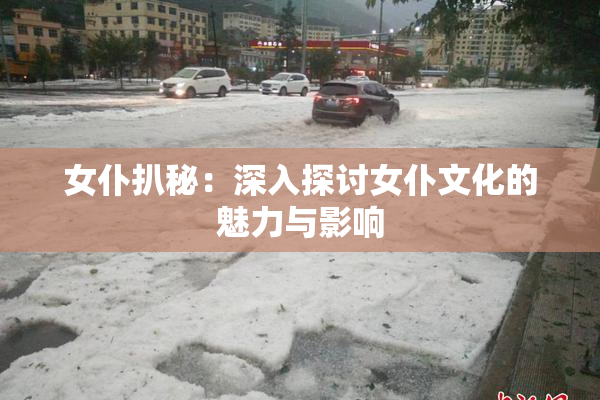 女仆扒秘：深入探讨女仆文化的魅力与影响