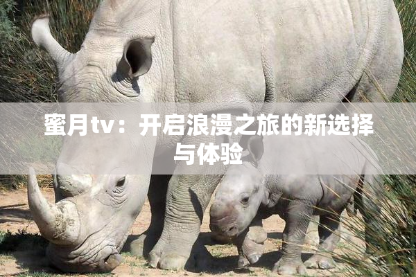 蜜月tv：开启浪漫之旅的新选择与体验