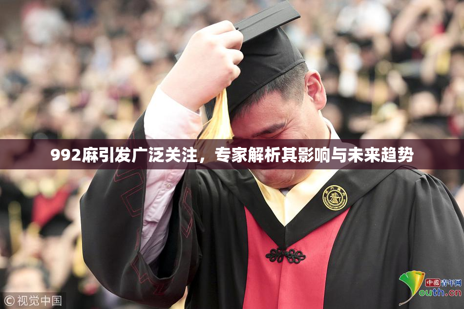 992麻引发广泛关注，专家解析其影响与未来趋势