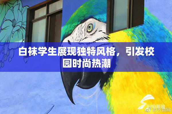 白袜学生展现独特风格，引发校园时尚热潮