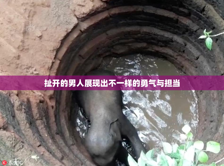 扯开的男人展现出不一样的勇气与担当