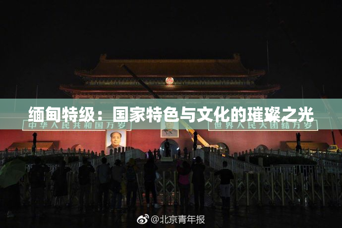 缅甸特级：国家特色与文化的璀璨之光