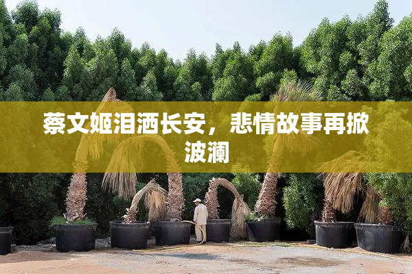 蔡文姬泪洒长安，悲情故事再掀波澜