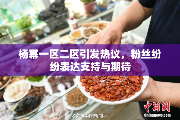 杨幂一区二区引发热议，粉丝纷纷表达支持与期待