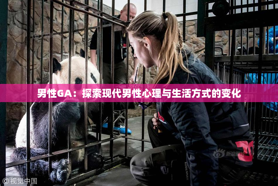 男性GA：探索现代男性心理与生活方式的变化