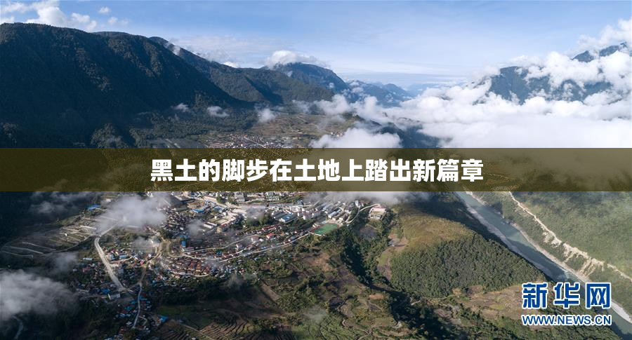 黑土的脚步在土地上踏出新篇章