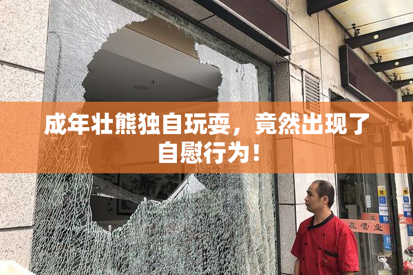 成年壮熊独自玩耍，竟然出现了自慰行为！