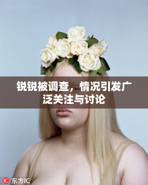 锐锐被调查，情况引发广泛关注与讨论