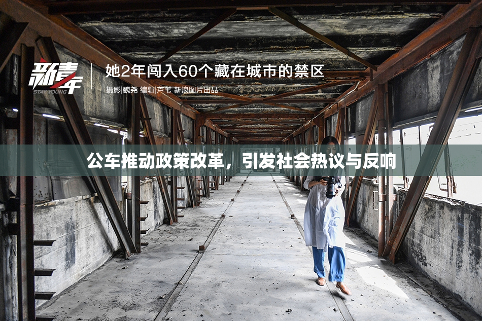 公车推动政策改革，引发社会热议与反响
