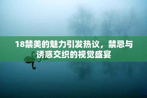 18禁美的魅力引发热议，禁忌与诱惑交织的视觉盛宴