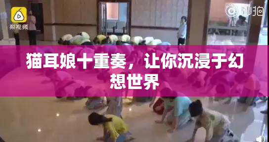 猫耳娘十重奏，让你沉浸于幻想世界