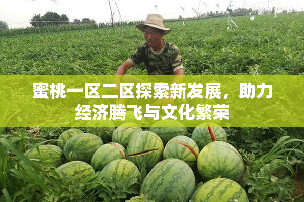 蜜桃一区二区探索新发展，助力经济腾飞与文化繁荣