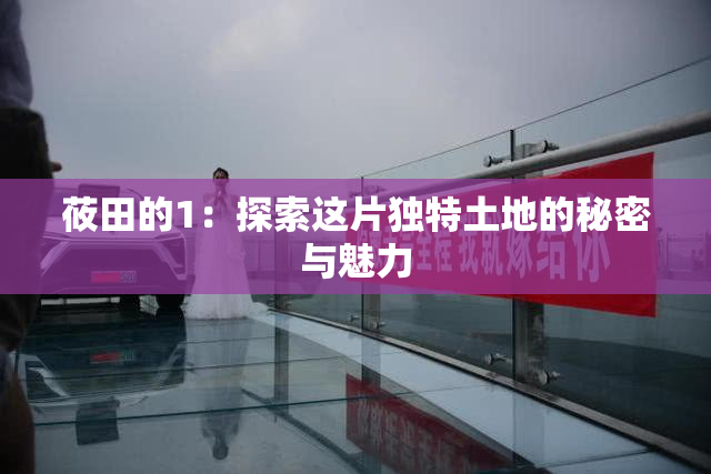 莜田的1：探索这片独特土地的秘密与魅力