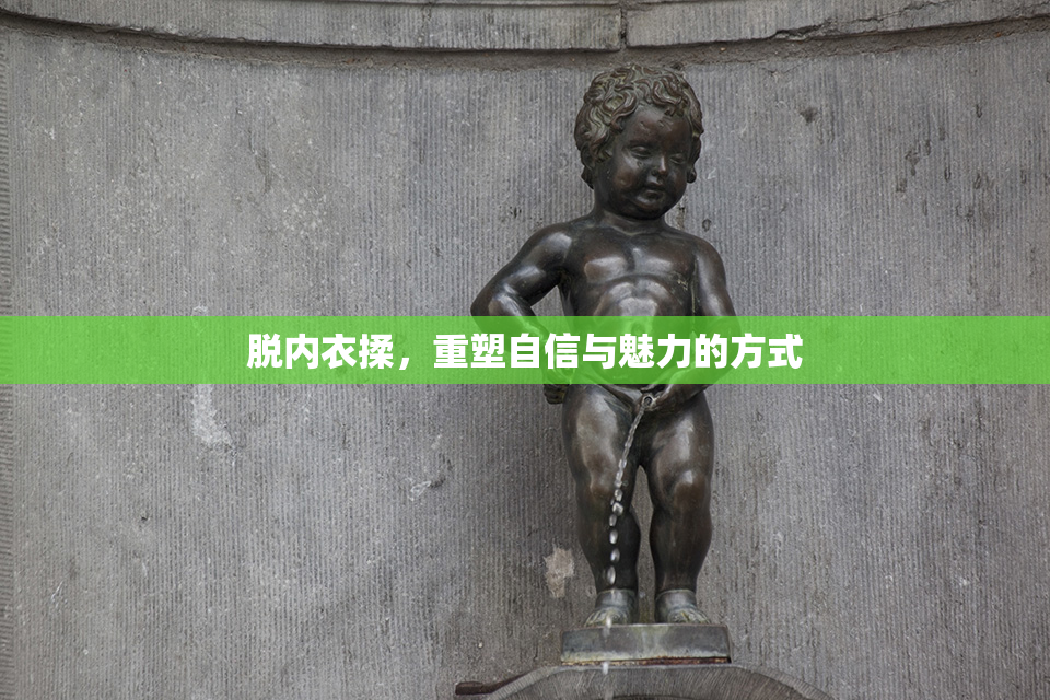 脱内衣揉，重塑自信与魅力的方式