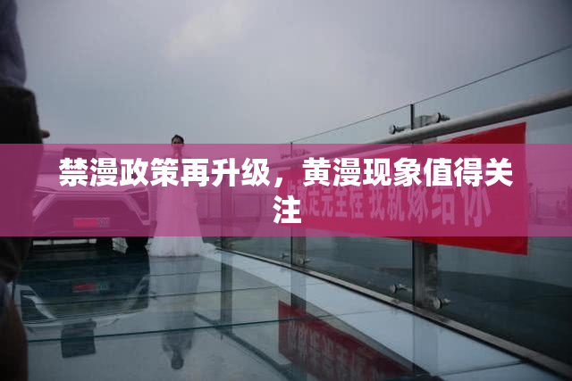 禁漫政策再升级，黄漫现象值得关注