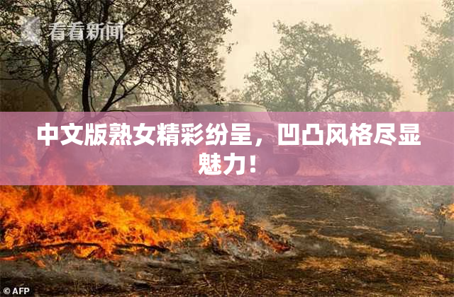 中文版熟女精彩纷呈，凹凸风格尽显魅力！