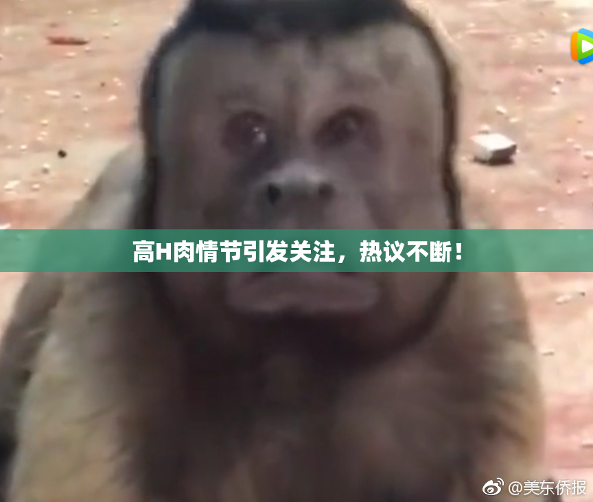 高H肉情节引发关注，热议不断！